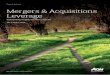 Mergers & Acquisitions Leverage - Risk - Reinsurance