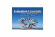 Marvin C. Alkin EdD Evaluation Essentials From A to Z 2010