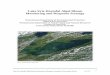Lake Erie Harmful Algal Bloom Monitoring and Response …