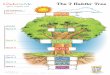 The 7 Habits Tree - Orange Elementary Leader In Me