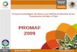PROMAF 2009 - fifonafe.gob.mx