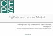 Big Data and Labour Market - Europa