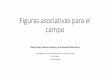 Figuras asociativas para el campo - UNAM