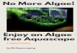 No More Algae! - MJ Aquascaping