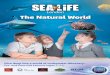 The Natural World - Sea Life