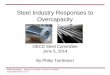 Steel Industry Responses to Overcapacity
