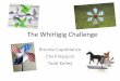 The Whirligig Challenge - stemedhub