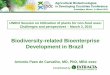 Biodiversity-related Bioenterprise Development in Brazil