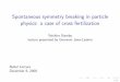 Spontaneous symmetry breaking in particle physics: a case 