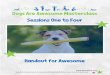 Dogs Are Awesome Masterclass Sessions One to Four
