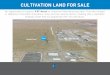 CULTIVATION LAND FOR SALE - LoopNet