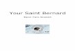 Your Saint Bernard