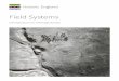 Field Systems: Introductions to Heritage Assets