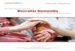 th International Conference on Vascular Dementia