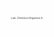 Lab. Chimica Organica II. - Altervista