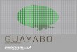 GUAYABO - Procisur