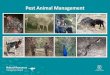 Pest Animal Management - naturalresources.sa.gov.au