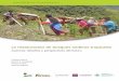 La restauración de bosques andinos tropicales