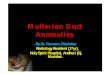 Mullerian Duct Anomalies - edurad.com
