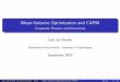 Mean-Variance Optimization and CAPM - Jul Overby