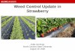 Weed Control Update in Strawberry