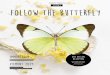 farfalla Magazin 2019#3 Follow the Butterfly