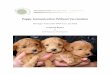 Puppy Immunization Without Vaccination