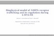 Biophysical model of AMPA receptor trafﬁcking and its 