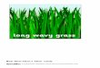 long wavy grass
