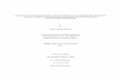 THE EFFECTS OF EXTRACURRICULAR ACTIVITIES ON …