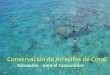 Conservación de Arrecifes de Coral - DRNA