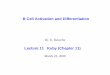 B Cell Activation and Differentiation