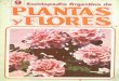 Enciclopedia Argentina De Plantas Y Flores 09 Lires 1986
