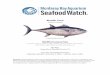 Bluefin Tuna - Amazon Web Services
