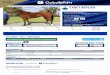EXACT REPLICA (AUS) 2016 Bay filly by Exceed and Excel 