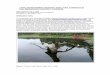 LAKE ASSESSMENT REPORT FOR LAKE CHARLES IN …