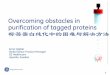 Overcoming obstacles in purification of tagged proteins 标签