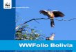 Publicación informativa digital sobre el trabajo de WWF en 