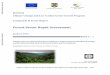 Forest Sector Rapid Assessment - World Bank