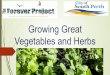 Growing Great Vegetables and Herbs - City of South Perth
