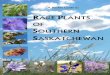 RARE PLANTS OF SOUTHERN