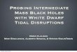 Probing Intermediate Mass Black Holes with White Dwarf 