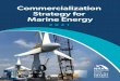Commercialization Strategy for Marine Energy