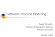 Software Process Modelling - McGill University