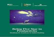 Being Five Star in Productivity - Boston Consulting Group