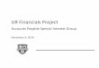 UR Financials Project - Rochester