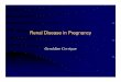 Renal Disease in Pregnancy1 - Angelfire