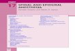 Chapter 17 - Spinal and Epidural Anesthesia