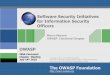 Software Security Initiatives for Information Security 
