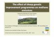 The effect of sheep genetic improvement programmes on 